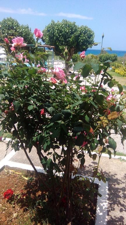 Andy'S Gardens Gerani (Chania) Exterior foto